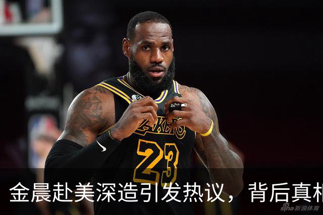 金晨赴美深造引发热议，背后真相揭秘